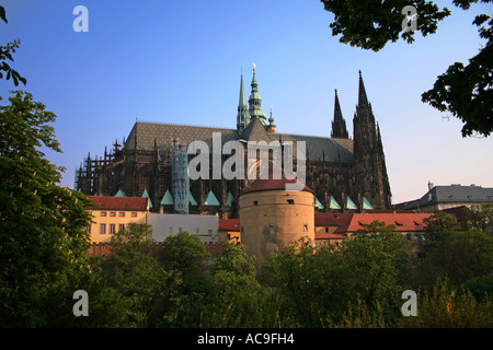 Blick auf den Veitsdom und die umliegenden Gebäude mit Bäumen im Vordergrund in Prag, Tschechische Republik. Stockfoto