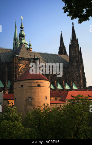 Blick auf den Veitsdom und die umliegenden Gebäude mit Bäumen im Vordergrund in Prag, Tschechische Republik. Stockfoto