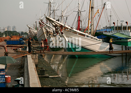 Boote am Sunda Kelapa Hafen Jakarta Stockfoto