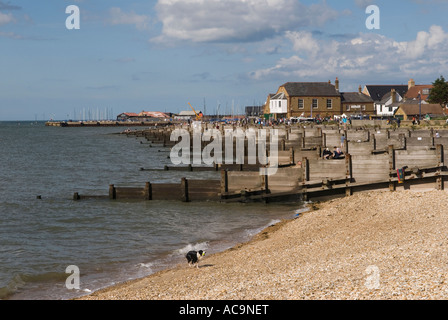 Whitstable Beach, Groynes am Kiesstrand Old Neptune Public House in der Ferne. Kent England 2007 2000er Jahre UK HOMER SYKES Stockfoto