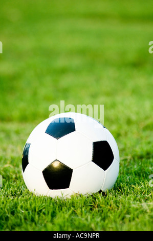 Ein Fußball auf dem grünen Rasen Stockfoto