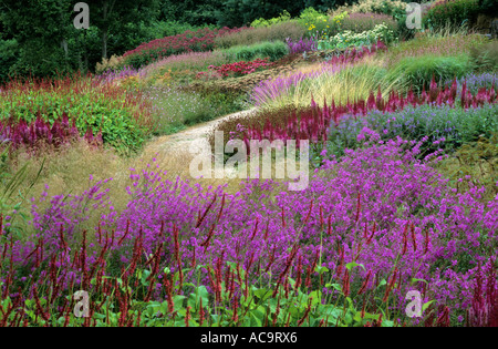 Pensthorpe Millennium Garten, Norfolk Lythrum, Persicaria, Gräser, Designer Piet Oudolf, Wiese Bepflanzung, Farbverschiebungen, Werk Stockfoto