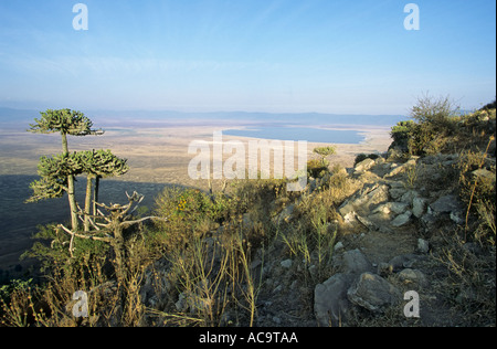 Ngorongoro Krater, Tansania Stockfoto