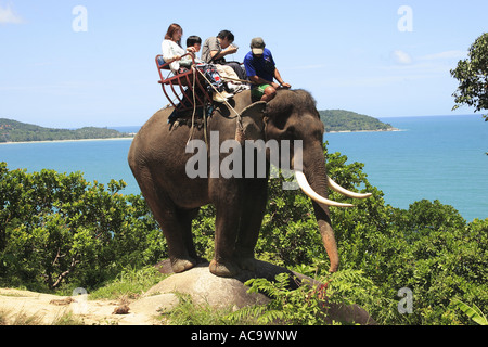 Touristen, Reiten auf einem Elefanten auf der Insel Phuket, Thailand Stockfoto