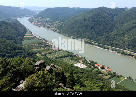 Blick auf die Donau Tal von der Burgruine Aggstein, Wachau, Niederösterreich, Österreich Stockfoto