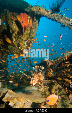 Autowrack unter Wasser. Stockfoto