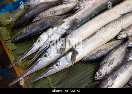 Markt auf der Insel Negros, Philippinen Stockfoto