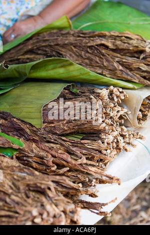 Tabakhandel auf dem Markt, Insel Negros, Philippinen Stockfoto