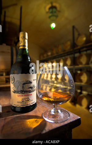 Schnaps-Flasche mit einem Glas Cognac, Brandy Keller der Bodega Suau auf Mallorca, Spanien Stockfoto