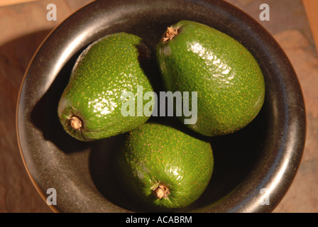 Hass-Avocados Stockfoto