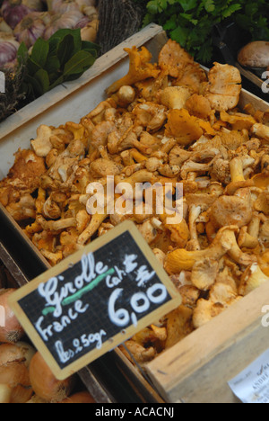 PARIS. Girolle Pilze bei einem Paris-Straßenmarkt. Stockfoto