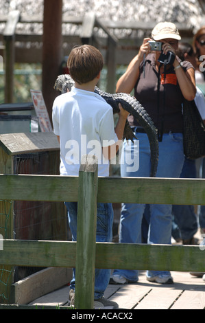 Touristischen posiert mit junger Alligator Gator Park Miami in die Everglades Nationalpark Florida USA Stockfoto