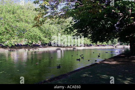 Sommer am Fluss Ouse in Bedford Stockfoto