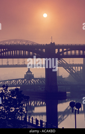 Tyne Brücken über den Tyne bei nebligen roter Sonnenaufgang Newcastle England UK Stockfoto