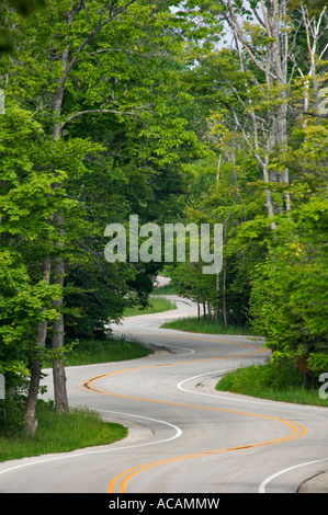 Wicklung Waldweg in der Nähe von Kiemen Rock Wisconsin Stockfoto