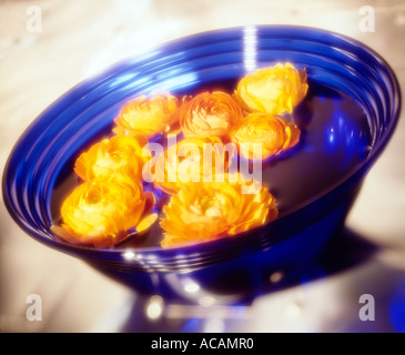 Blumen in blau Schüssel Stockfoto