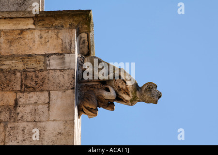 Wasserspeier, Dom St. Peter, Regensburg, Oberpfalz, Bayern, Deutschland Stockfoto