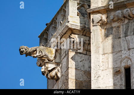 Wasserspeier, Dom St. Peter, Regensburg, Oberpfalz, Bayern, Deutschland Stockfoto