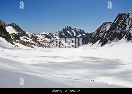 Barre des Ecrins 4,102 m, Glacier Blanc, Provence-Alpes-Cote de Azur Hautes-Alpes, Frankreich Stockfoto