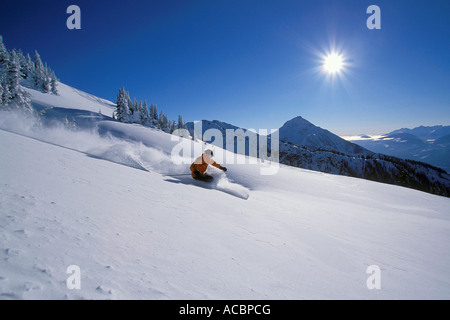 Katze-Ski Mt Mackenzie Revelstoke British Columbia Kanada Stockfoto