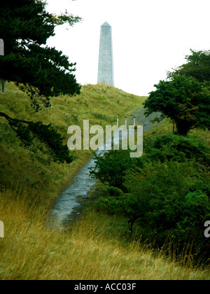 Wellington Monument im Phoenix Park, Dublin, Republik Irland, Europa, Obelisk, Monolith, Stockfoto