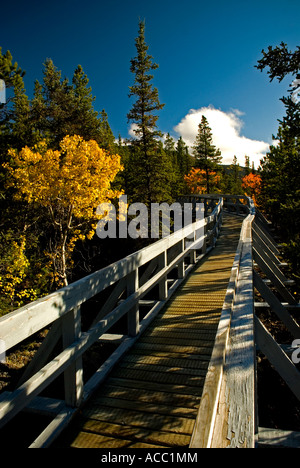 Promenade zum Rancheria Falls Recreation Site Stockfoto