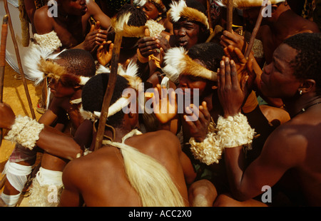 Gruppe von Tänzerinnen tanzen traditionellen Zulu, Südafrika Stockfoto