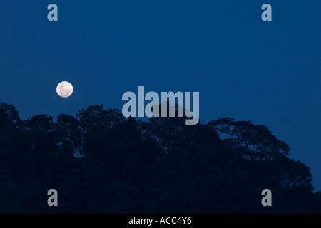 Vollmond in dunkelblauen Himmel Stockfoto