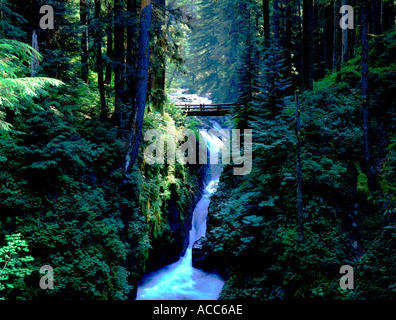 Sol Duc Falls Crescent Lake Washington State USA Stockfoto