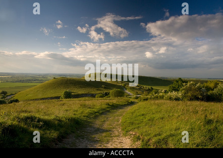 Die Ridgeway langen Abstand Weg bei Ivinghoe Beacon in der Chiltern Hills-Buckinghamshire Stockfoto