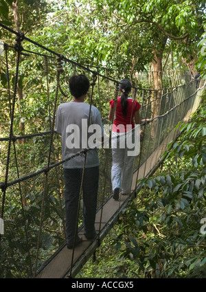 Touristen auf Canopy Walkway, Kinabalu National Park, Sabah, Malaysia, Stockfoto