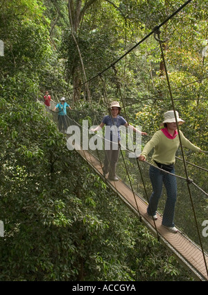 Touristen auf Canopy Walkway, Kinabalu National Park, Sabah, Malaysia, Stockfoto