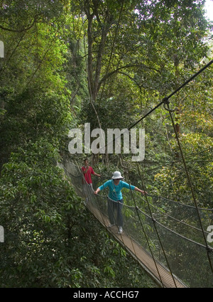 Touristen auf Canopy Walkway, Kinabalu National Park, Sabah, Malaysia, Stockfoto