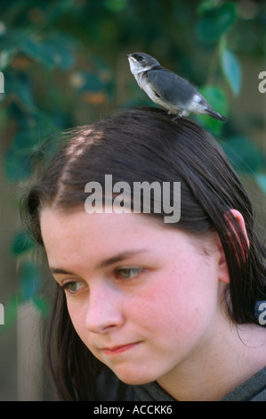 Baby schlucken auf Teenager-Mädchen Kopf Stockfoto