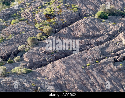 Elefanten verstecken Rock, von Sieg Straße gesehen, Halls Gap, die Grampians National Park, Victoria, Australien. Stockfoto