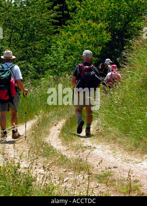 Gruppe von Wanderern auf einem Waldweg Stockfoto