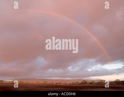 Regenbogen über Bäume und Ackerland in der Morgendämmerung, Halls Gap, Victoria, Australien, Stockfoto