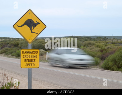 KÄNGURU WILDLIFE WARNUNG STRAßE ZEICHEN, INNES NATIONALPARK, YORKE SUÐURNES, SÜDAUSTRALIEN Stockfoto