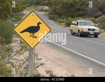 Thermometerhuhn WARNUNG SCHILD, INNES NATIONAL PARK, südlichen Yorke Peninsula, South Australia, Stockfoto