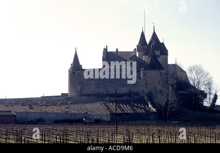 Schweiz Weinberg Schloss Vaud Aigle Chateau Kanton Waadt Wein mittelalterlichen historischen Französisch sprechende Sprache Stockfoto