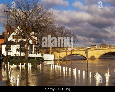 GESCHWOLLEN Themse Flut in der Nähe von Brücke Henley on Thames-Oxfordshire-England-UK Stockfoto