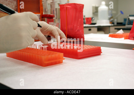 Senior-Labor-Spezialist Vorbereitung DNA-Tests in der Nebraska State Patrol Crime Lab Beweise am Tatort gefunden. Stockfoto