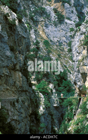 Picos Wanderweg in der Schlucht des Rio Cares Garganta del kümmert sich Stockfoto