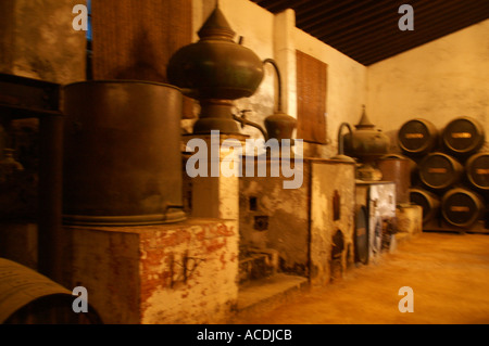 Jerez De La Frontera Provincia de Cádiz Spanien Keller bei Bodegas Gonzalez Byass immer noch Stockfoto