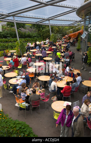 Eden Projekt St Austel Cornwall England Massen von Männer Frauen Kinder besuchen Besucher Stockfoto