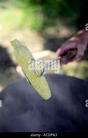 Maiskolben vorbereiten. Stockfoto