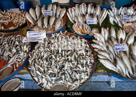 Anzeige von frischem Fisch auf einem Fischhändler Stand auf dem Fischmarkt in Beyoglu Stadtteil von Istanbul in der Türkei Stockfoto
