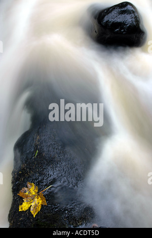 Herbstliche Fluss in Nordirland Glenariff Co Antrim Stockfoto