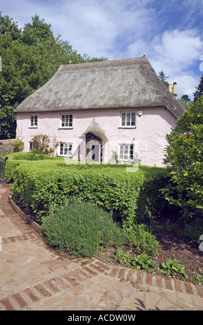 Rose Cottage im Cockington In Devon In England Stockfoto