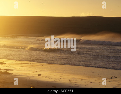 Dh Bucht von Skaill SANDWICK ORKNEY Gischt und Wellen auf Sandstrand wave Küste Schottland See Sturm brechen Stockfoto